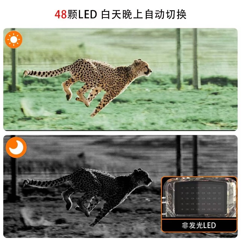 大特価セール DL001 ハンティングカメラ 動物追跡 ハン - Outdoor Sport Field のレビューと価格