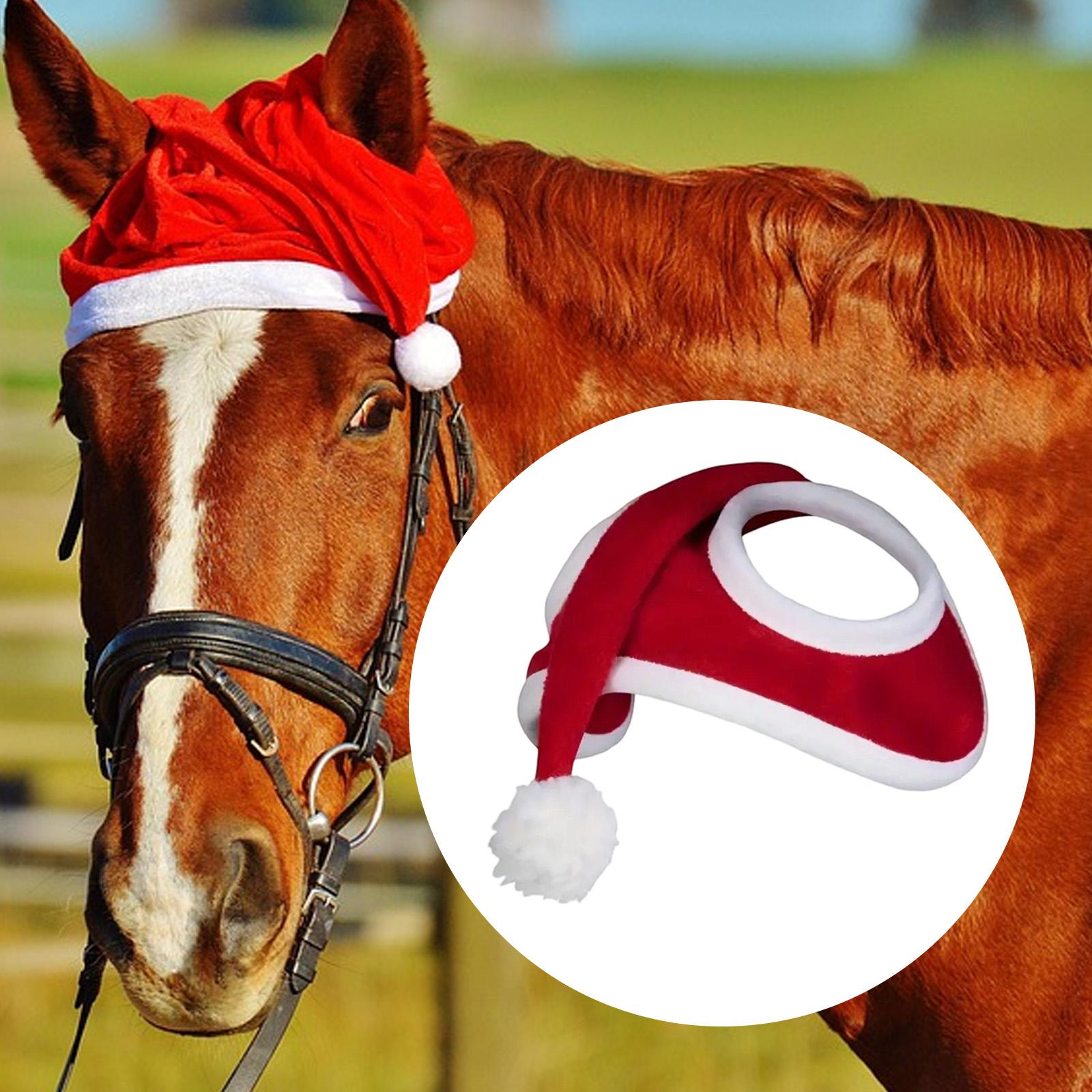 クリスマス馬帽子、ドレスアップ、農場の冬の写真、かわいい、通 - Grooming Kit Horse のレビューと価格