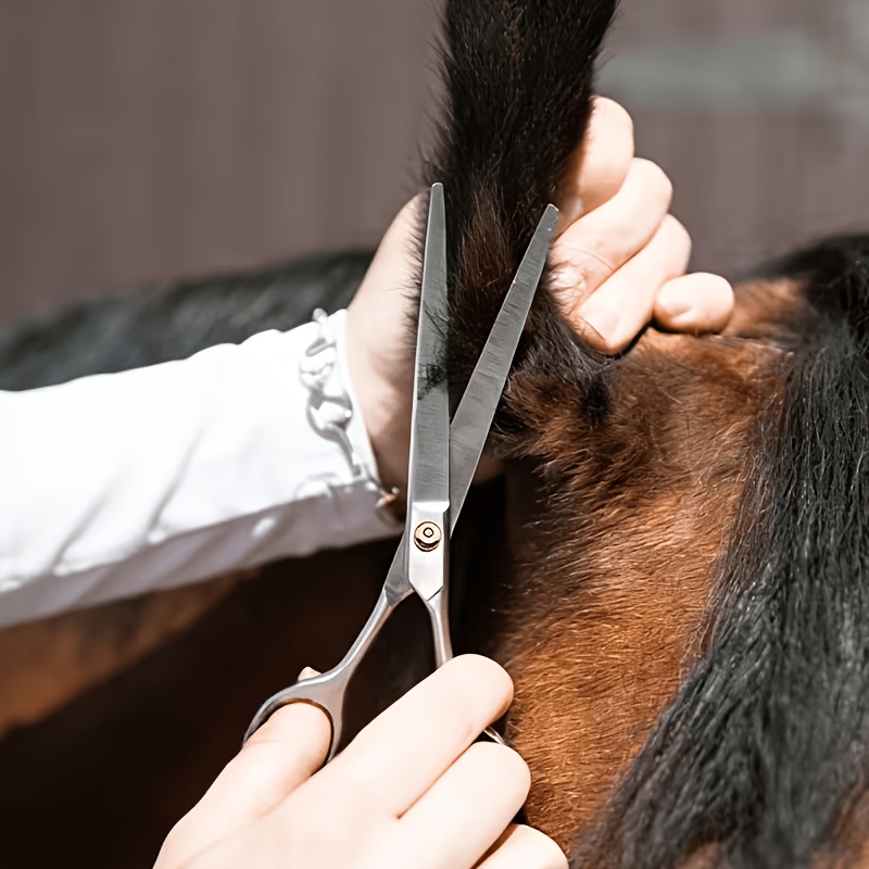 馬のグルーミングツールセット ステンレス製 細毛トリミングキ - Grooming Kit Horse のレビューと価格