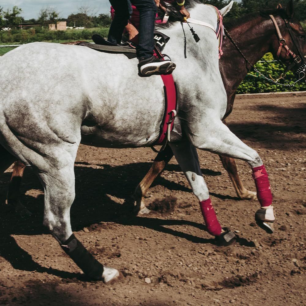 2/4 個セット通気性のある馬の脚包帯吸湿発散性軽量居心地の - Grooming Kit Horse のレビューと価格