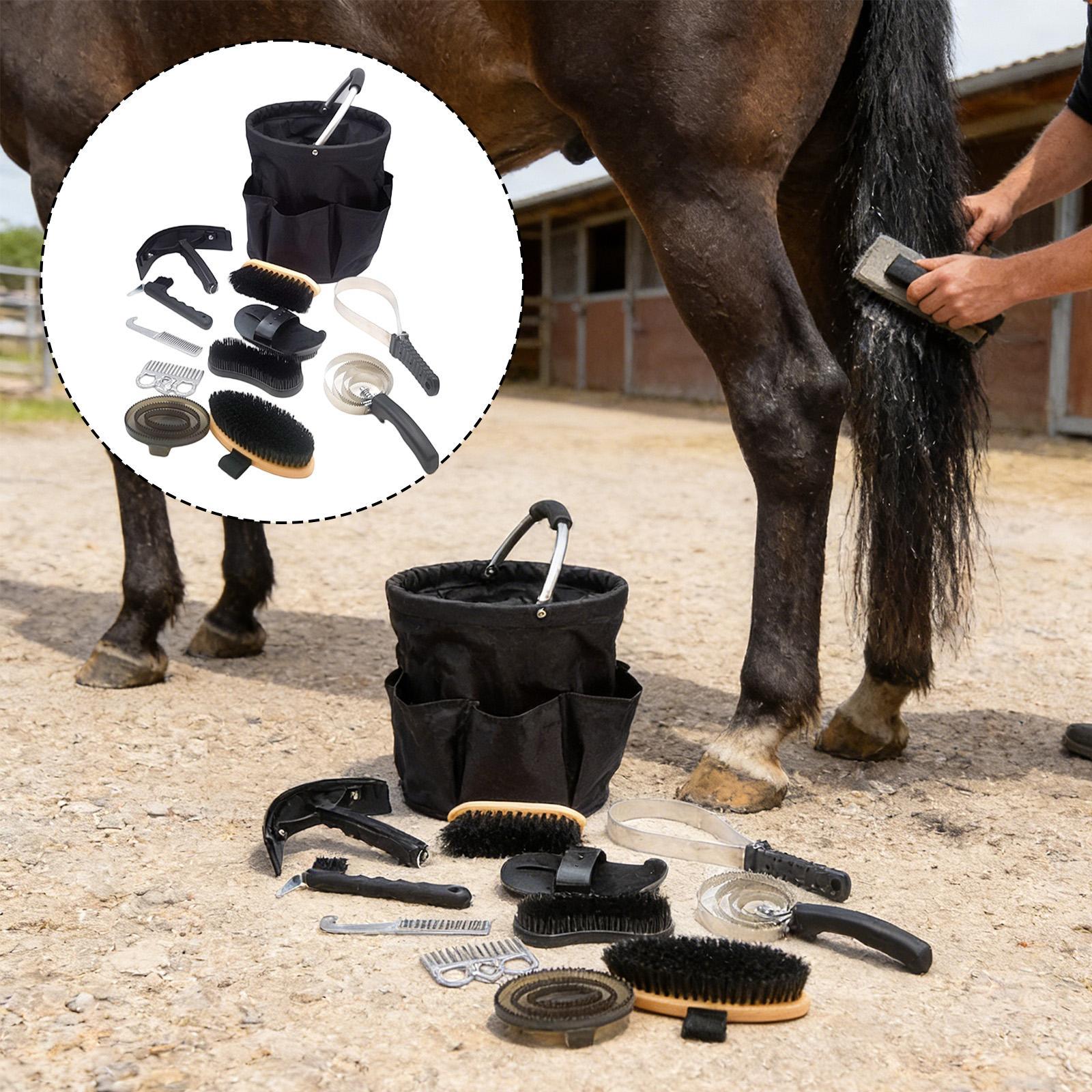 馬の手入れキット、蹄鉄用具一式、蹄ピック、ブラシ、抜け毛取り - Grooming Kit Horse のレビューと価格