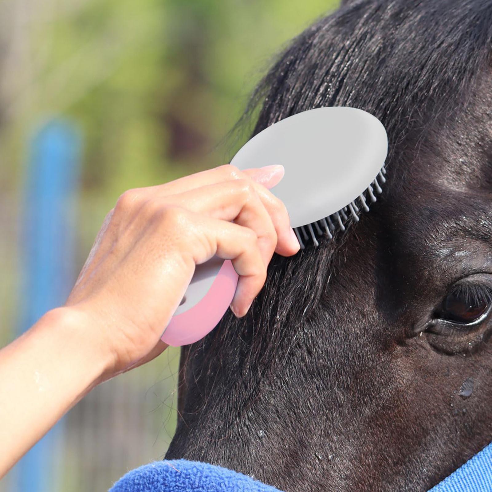 馬の毛並みと尾用の毛抜き櫛、人間工学に基づいたハンドル付き馬 - Grooming Kit Horse のレビューと価格
