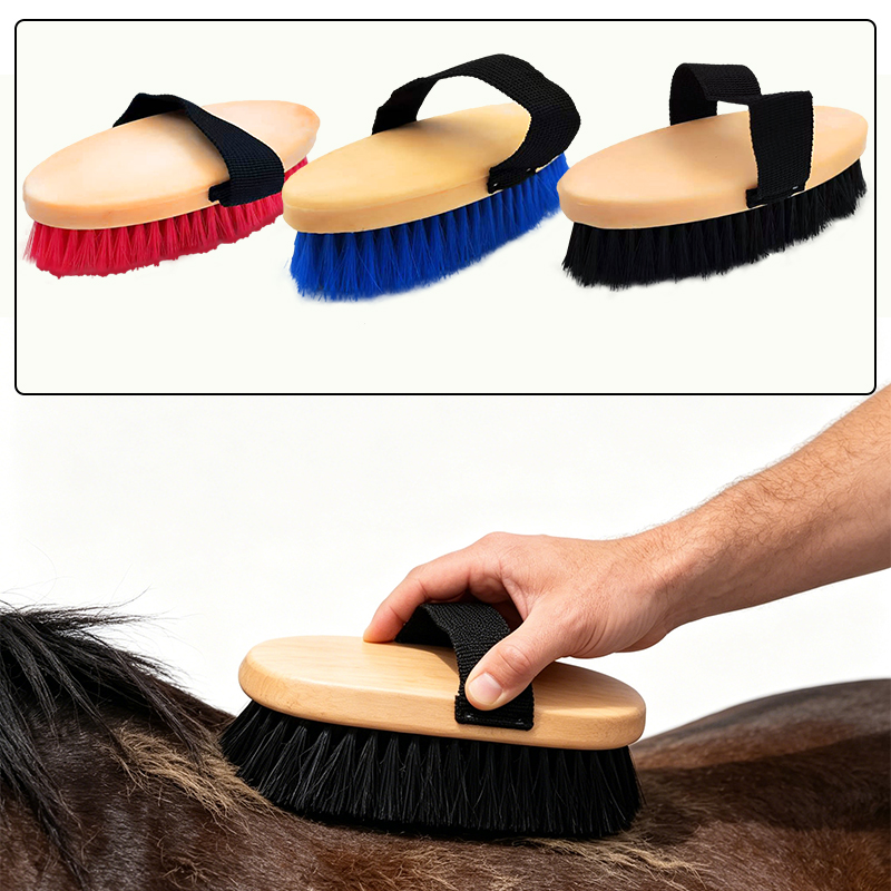 楕円形の馬用グルーミングカレーコーム、ハンドストラップ付き、 - Grooming Kit Horse のレビューと価格