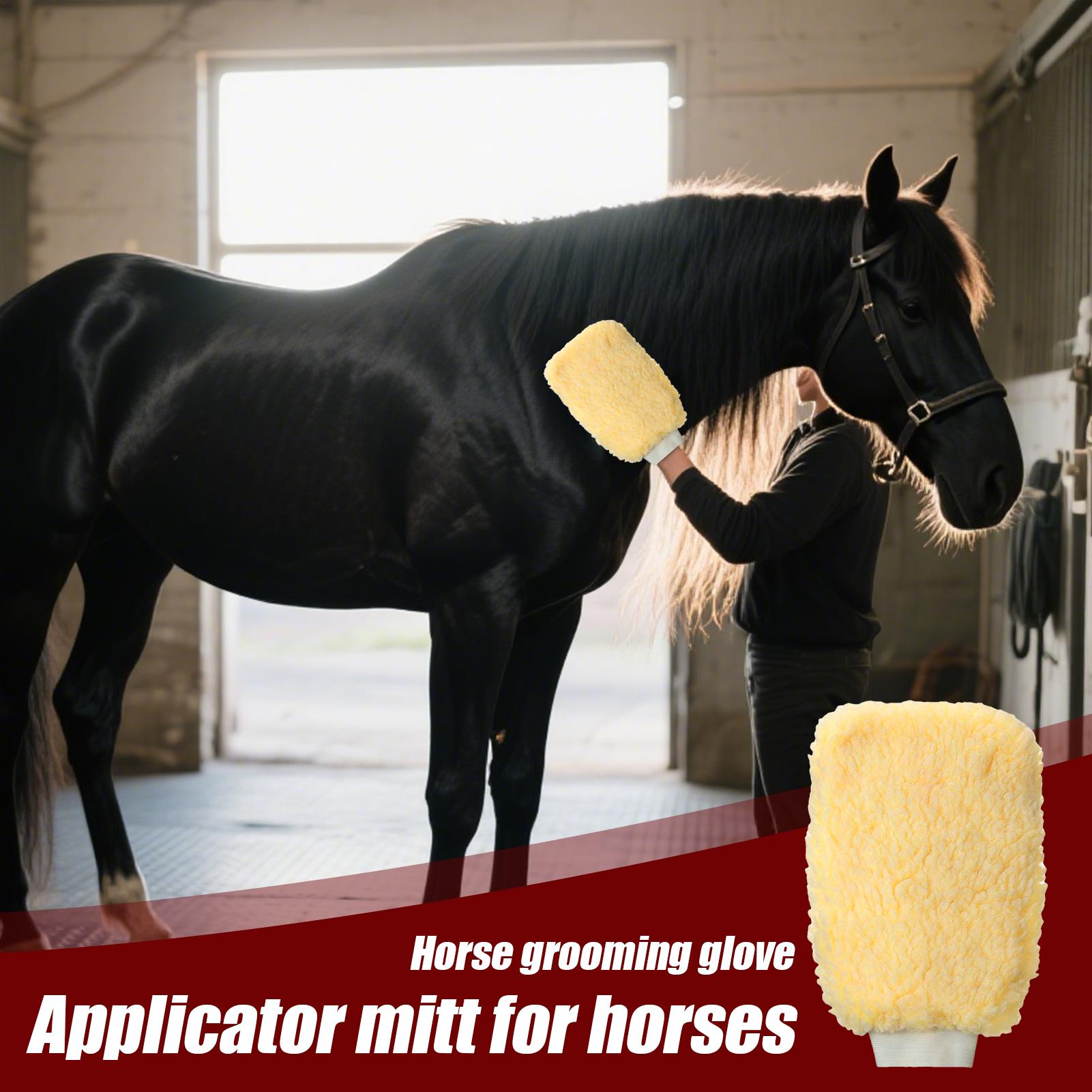 馬用ティックミットアプリケーターグローブ、入浴・清掃用フリー - Grooming Kit Horse のレビューと価格