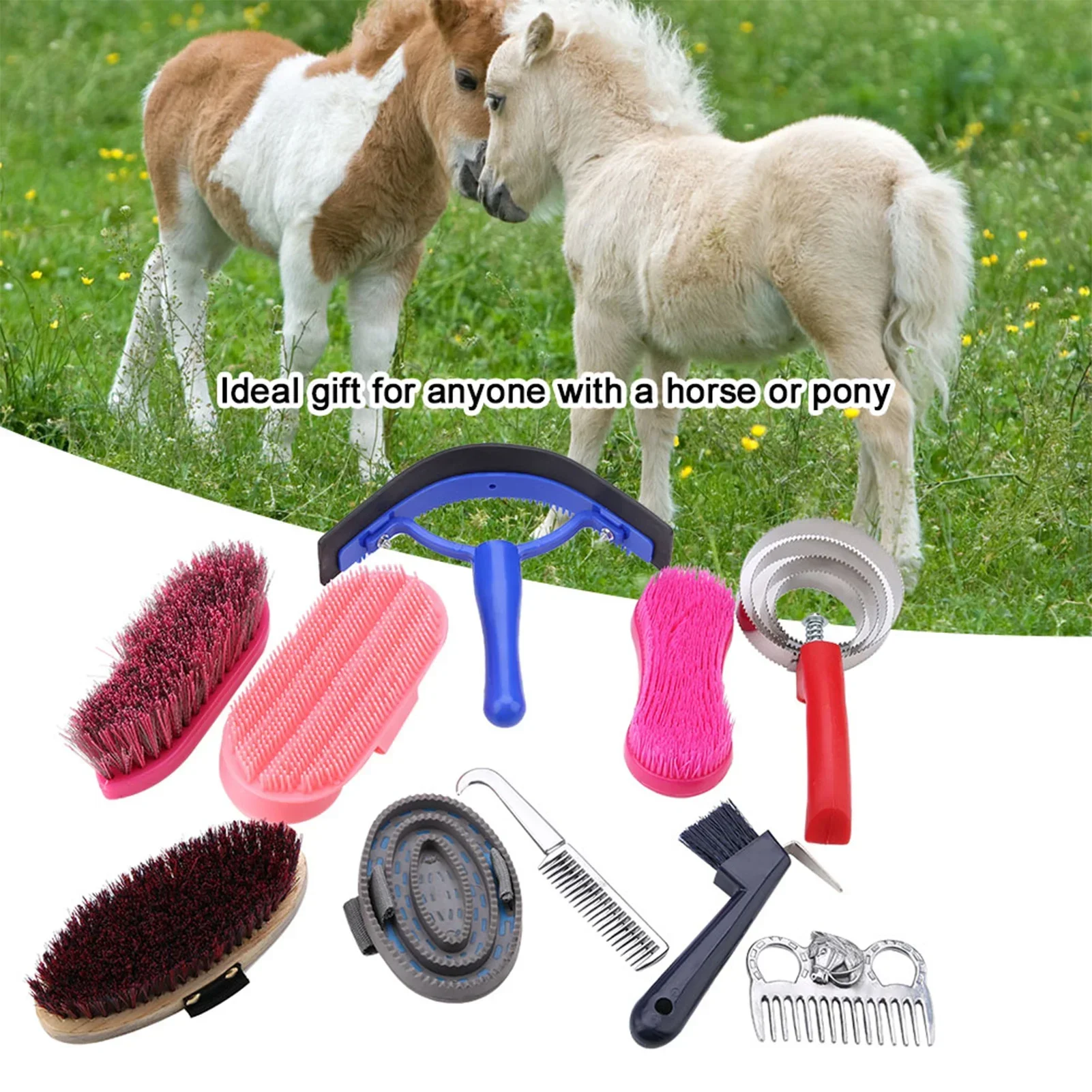 10個入り 馬の手入れケアキット 乗馬用ブラシ カリーコーム - Grooming Kit Horse のレビューと価格